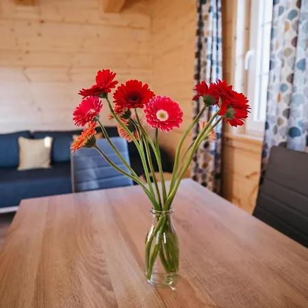 - Zielenska Polana Dağ evi